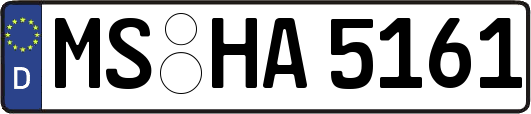 MS-HA5161