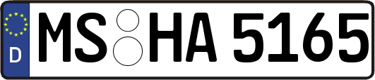 MS-HA5165