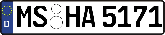 MS-HA5171