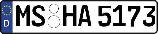 MS-HA5173