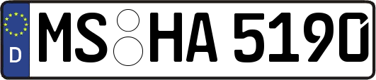 MS-HA5190
