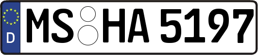 MS-HA5197