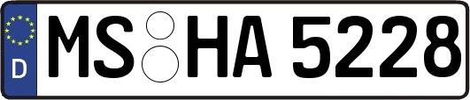 MS-HA5228