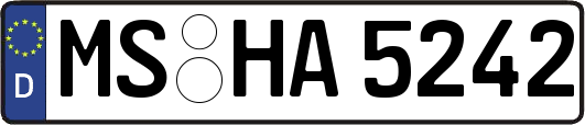 MS-HA5242
