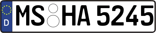 MS-HA5245