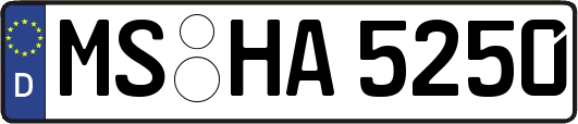 MS-HA5250