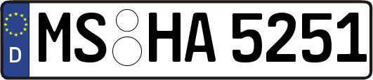 MS-HA5251