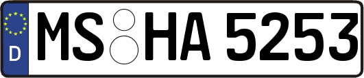 MS-HA5253