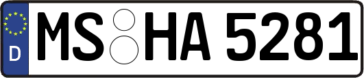 MS-HA5281