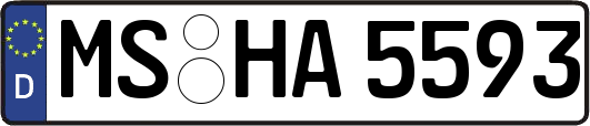 MS-HA5593