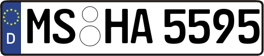 MS-HA5595