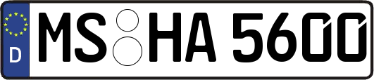 MS-HA5600