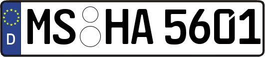MS-HA5601