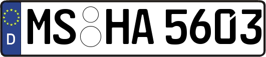 MS-HA5603