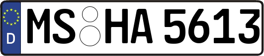 MS-HA5613