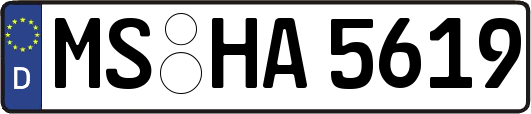 MS-HA5619