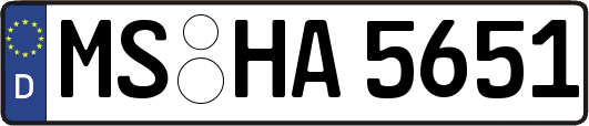 MS-HA5651