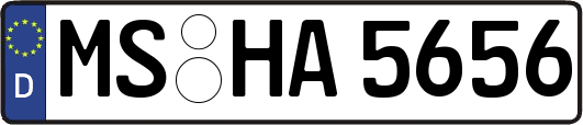 MS-HA5656