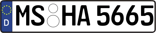 MS-HA5665