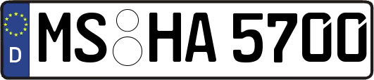 MS-HA5700