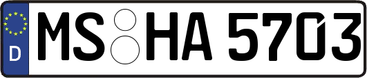 MS-HA5703