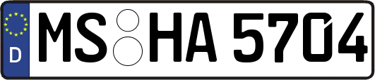 MS-HA5704