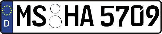 MS-HA5709
