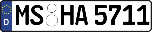 MS-HA5711