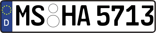 MS-HA5713