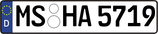 MS-HA5719