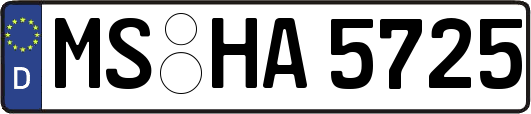 MS-HA5725