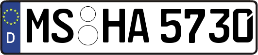 MS-HA5730