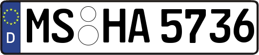 MS-HA5736