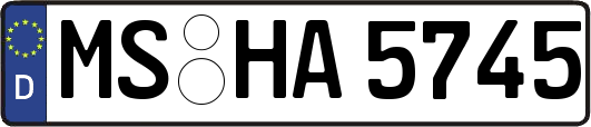 MS-HA5745