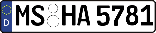 MS-HA5781