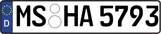 MS-HA5793