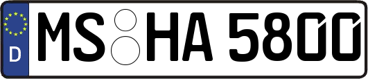 MS-HA5800