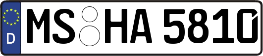 MS-HA5810