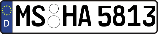 MS-HA5813