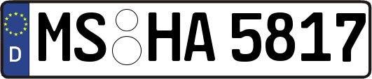MS-HA5817