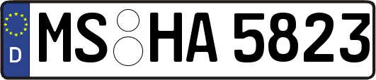 MS-HA5823