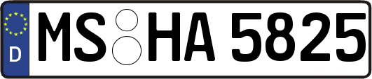 MS-HA5825