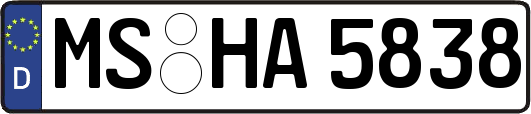 MS-HA5838