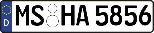 MS-HA5856