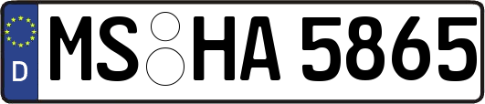 MS-HA5865