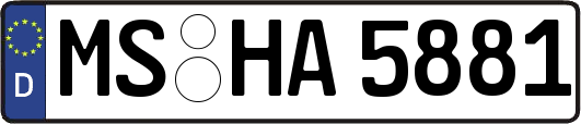 MS-HA5881