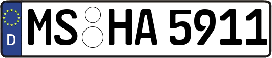 MS-HA5911