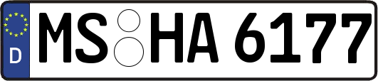 MS-HA6177