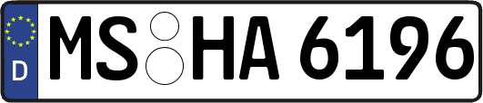 MS-HA6196