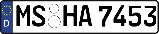 MS-HA7453